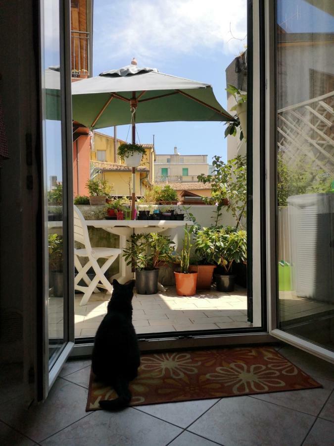 Appartamento La Rondine ペザロ エクステリア 写真